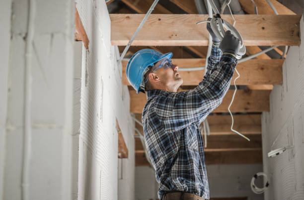 Best Best Electricians Near Me  in Fisher, IL