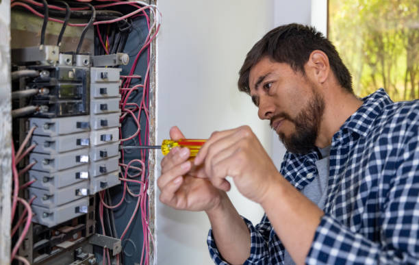 Best Licensed Electrician  in Fisher, IL